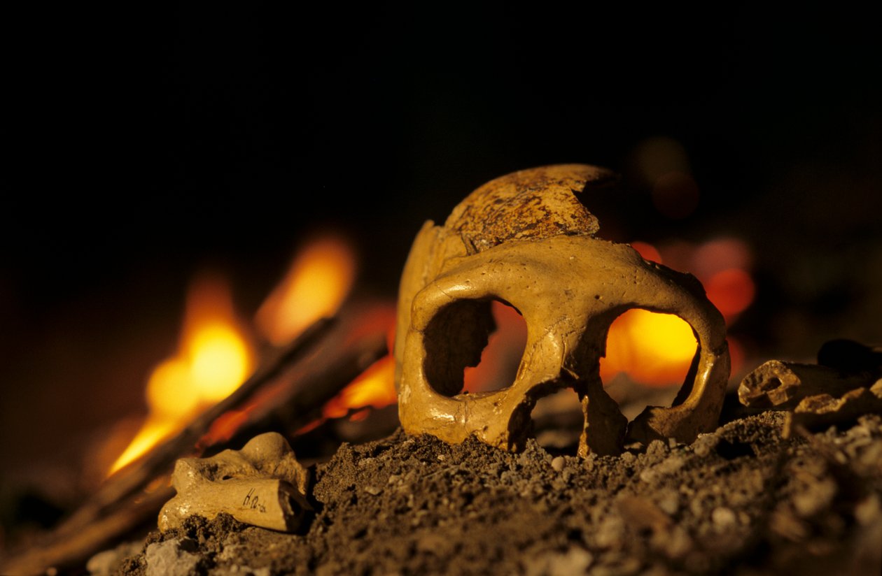 DOH; Neandertalilaiset 130 000 vuotta vanha, naisen kallo, Krapina 3, Krapinan luola, Balkanilla tekijältä Kenneth Garrett