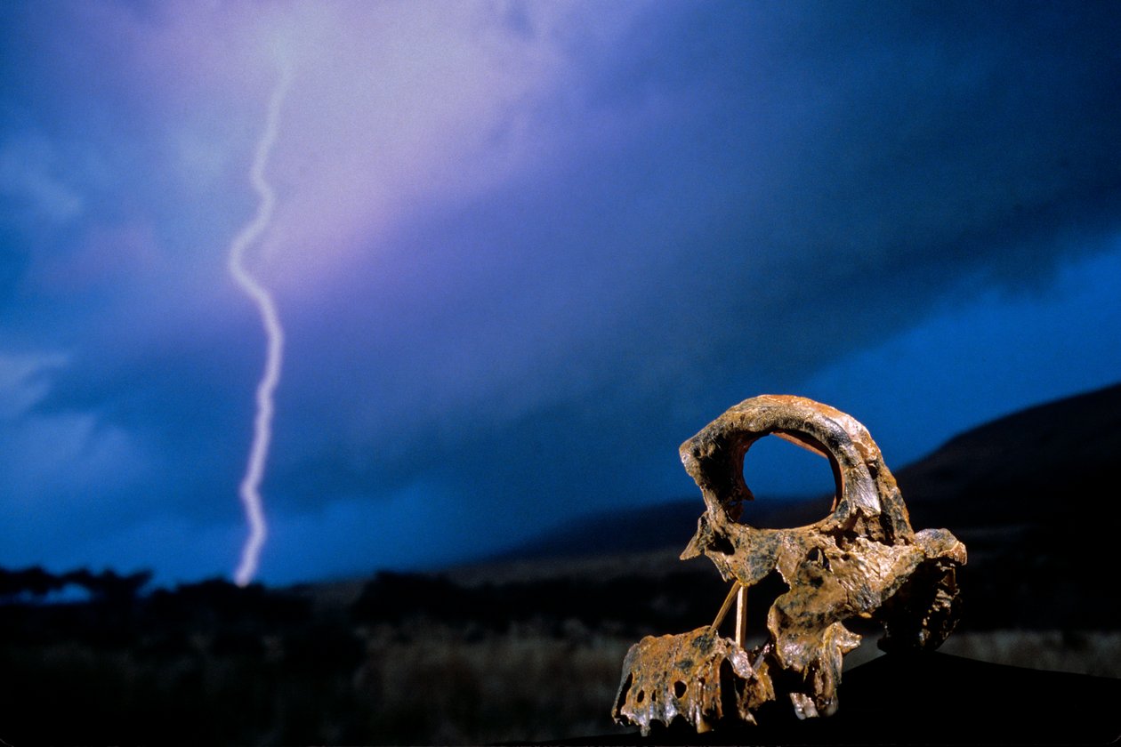 DOH; The First Steps,Broken Skull, STW 847, Lightning, High veld, Swartkrans, Etelä-Afrikka, 2008 (kuva) (kuva) tekijältä Kenneth Garrett