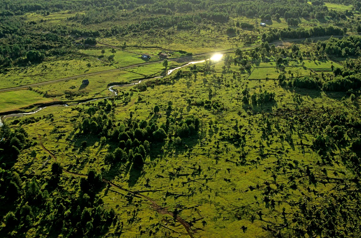 DOH, The Most Ancient Americans, Chinchihuapi Creek, Kausikoti, Hunter Gatherers,..., 2008 (kuva) tekijältä Kenneth Garrett