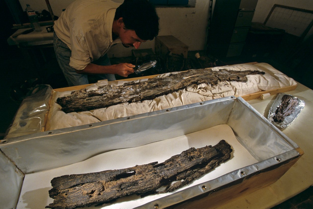 Tohtori Matthew Adams tutkii laboratoriossa puista venelankkua, kovaa puuta, ei setripuuta, Abydosista, Egyptistä, 2005 (kuva). tekijältä Kenneth Garrett