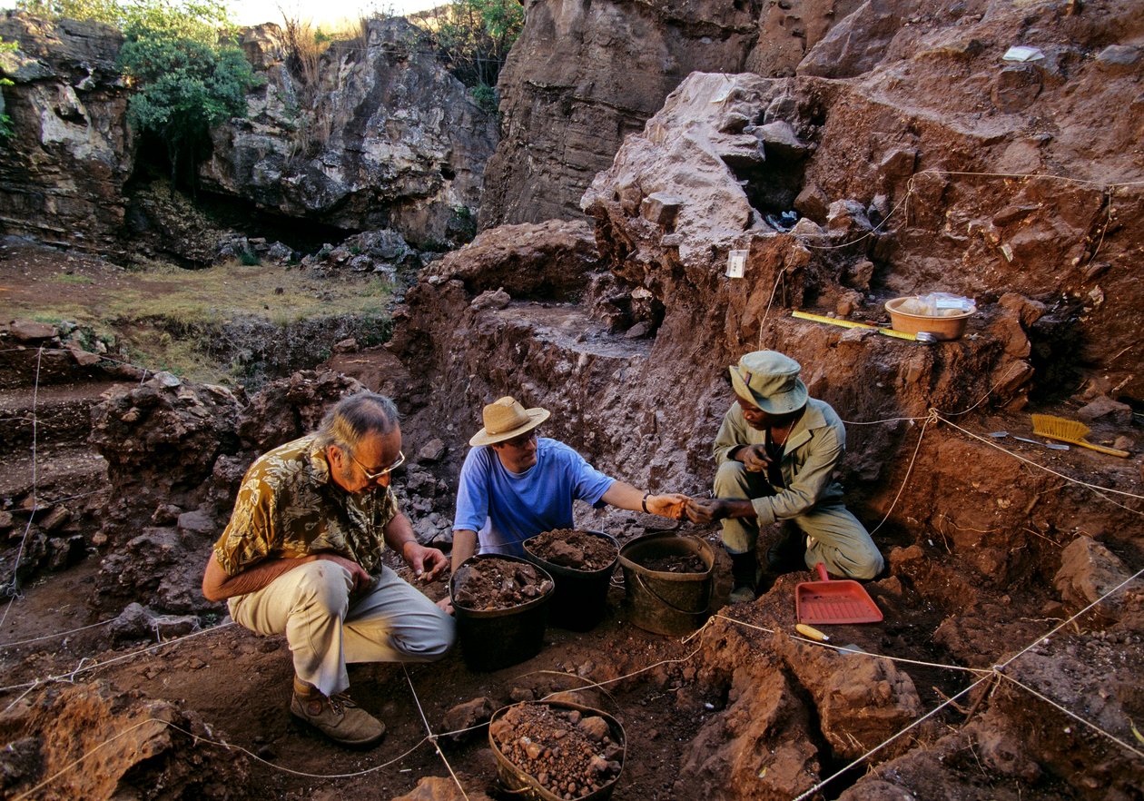 Drimolean Site, lähellä Johannesburgia, Etelä-Afrikka, 2 miljoonaa vuotta vanha hominidi. tekijältä Kenneth Garrett