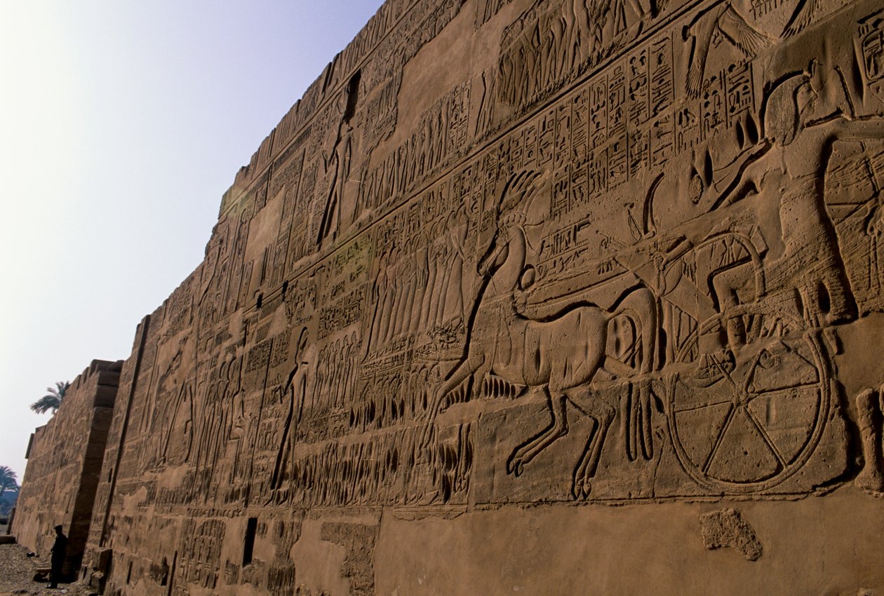 Egypti; mm6741; Qadeshin taistelu, Ramses II, Karnakin temppeli, 2001 (kuva) tekijältä Kenneth Garrett