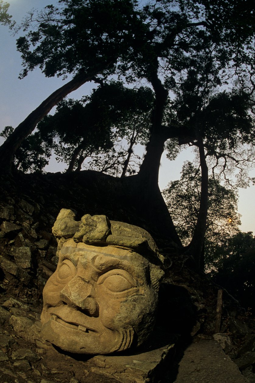 Jumala N, Ceiba-puu, temppeli, Maya, Copan, Honduras, klassinen kausi tekijältä Kenneth Garrett