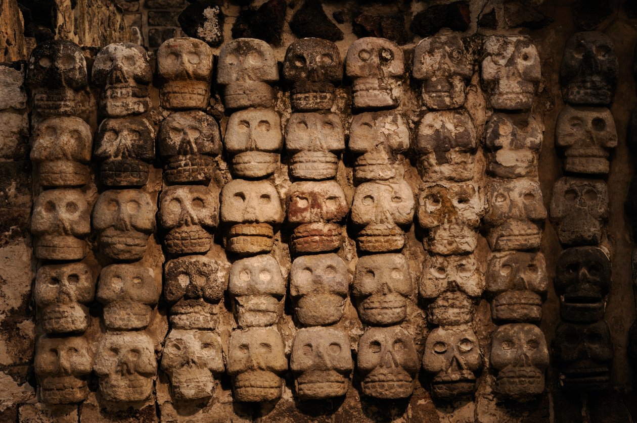 Greatest Aztecs, MM7677, Mexico City, Meksiko, Templo Mayor Museum, Site photos, Tzom..., 2008 (kuva) tekijältä Kenneth Garrett