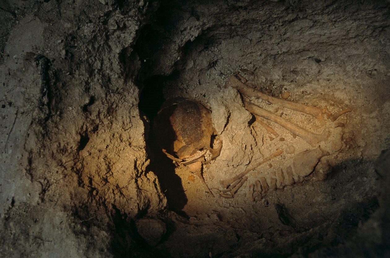 Ihmisen jäännökset, Homul Center, Holmul, Guatemala, Maya, Francisco Estradabelli, 2008 (kuva) tekijältä Kenneth Garrett