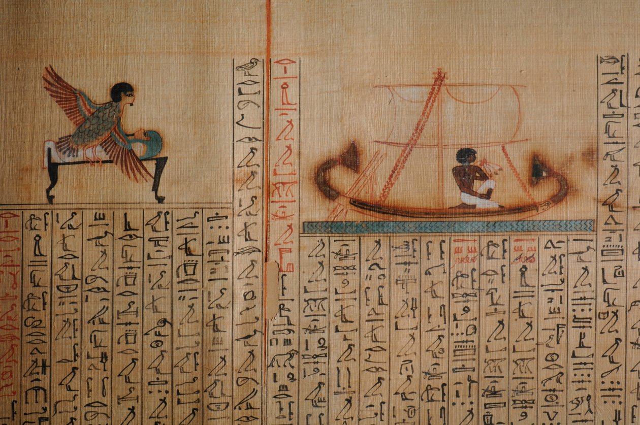 Maiherpri-papyrus, Kuolleiden kirja, kuninkaiden laaksossa sijaitsevasta, ruiskuttamattomasta haudasta, Ma..., 2007 (kuva) (kuva) tekijältä Kenneth Garrett