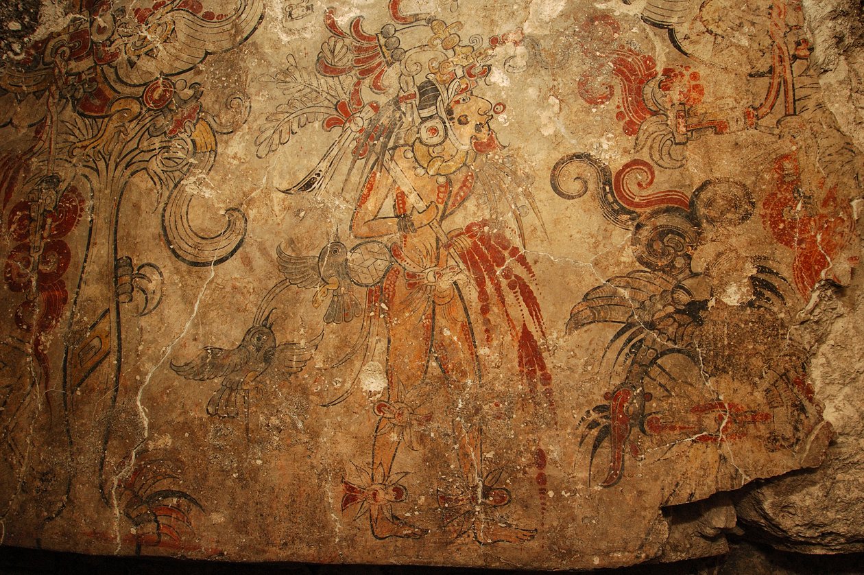 Maya; Maya Murals; San Bartolo; Guatemala; Dr Bill Saturno, 2005 (kuva) tekijältä Kenneth Garrett