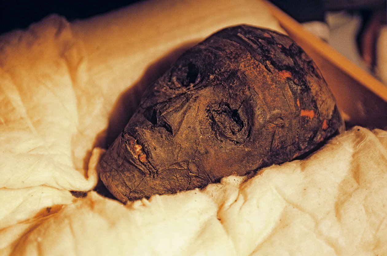 Kuningas Tutankhamonin muumion pää ja kasvot, 2005 (kuva). tekijältä Kenneth Garrett