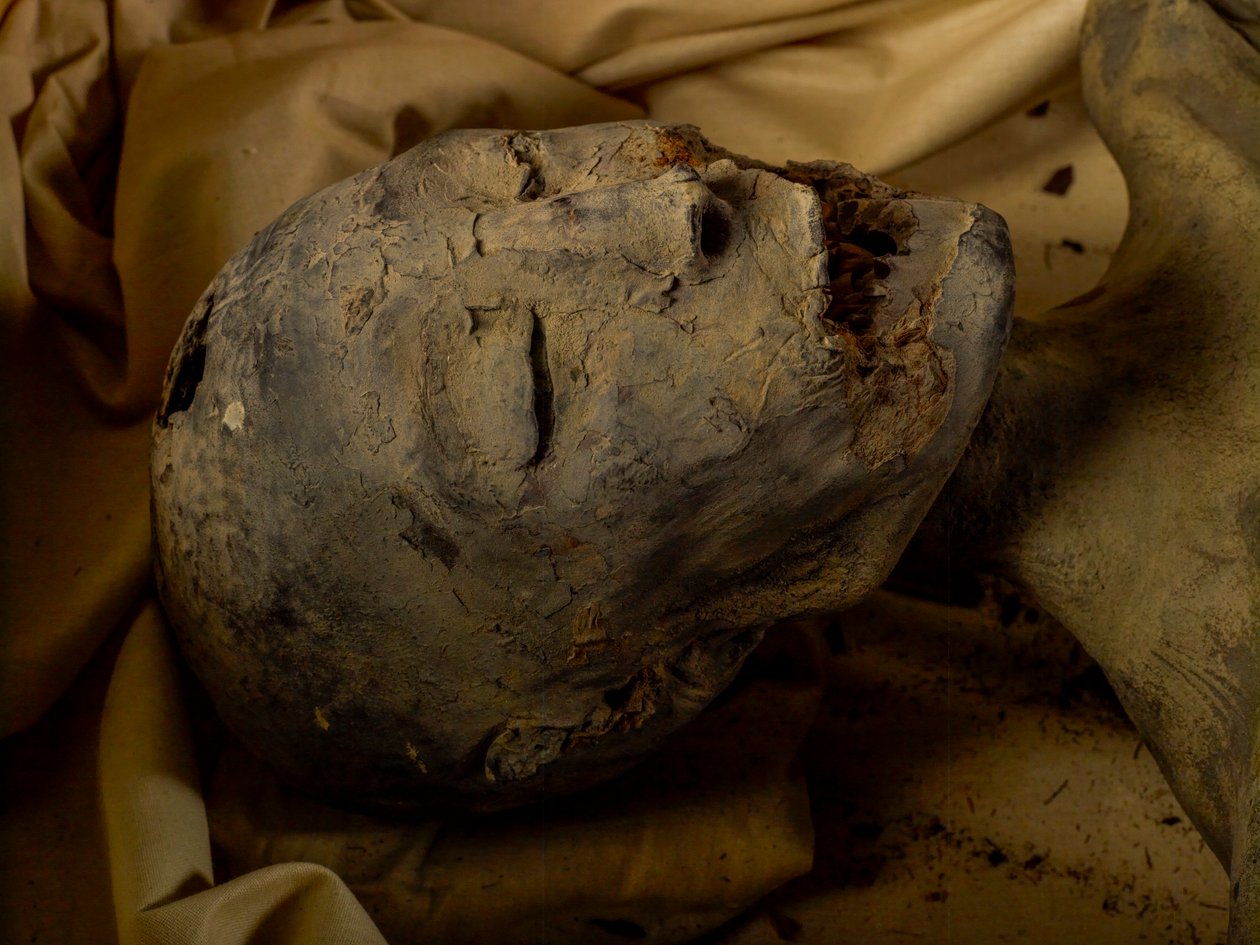 Kuningas Tut-kuninkaan äidin muumio (tunnetaan nimellä Nuorempi nainen). tekijältä Kenneth Garrett