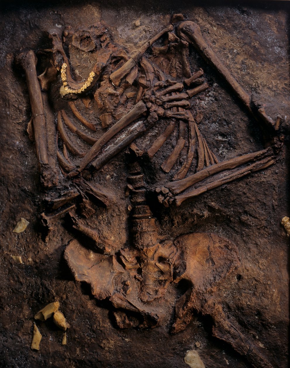 Neandertalilainen, maalattu valettu, Kebaran luola, Karmel-vuori, "Moshe", n. 60 000BP, Israel. tekijältä Kenneth Garrett