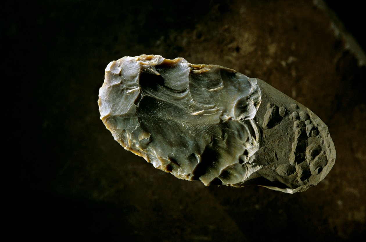 Peopling the Americas, Stone Axe, Gault site, Texas, Amerikka, 2000 (kuva) tekijältä Kenneth Garrett