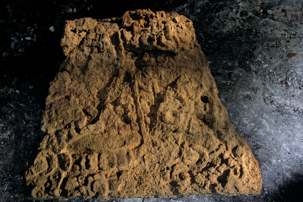 Stele, Sufricaya, Holmul, Guatemala, Maya, Francisco Estradabelli, 2008 (kuva) tekijältä Kenneth Garrett
