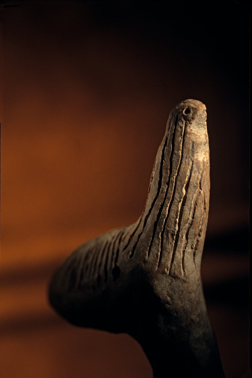 Urkesh; Hurrian; valtakunta; Syyria; 2400 eKr.; Giorgio Buccellati; arkeologia; EAME, artif..., 2004 (kuva) tekijältä Kenneth Garrett