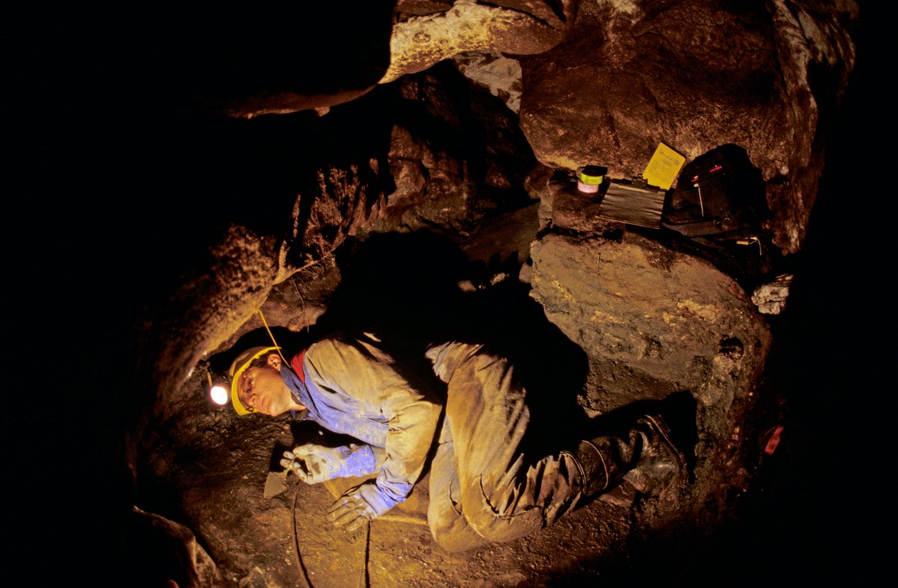 Keitä olivat ensimmäiset amerikkalaiset, Timothy Heaton, kaivaukset, On your Knees Cave, Prince..., 2008 (kuva) tekijältä Kenneth Garrett