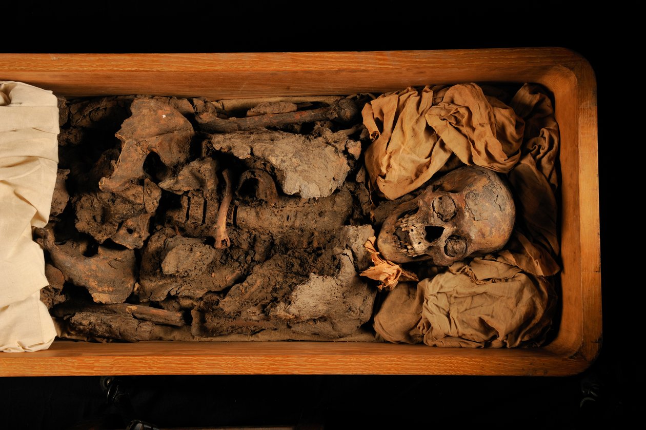 mm7864; Tutankhamon; 18. dynastia; Uusi valtakunta; Egyptin museo; Kairo; DNA; näytteenotto..., 2005 (kuva) tekijältä Kenneth Garrett