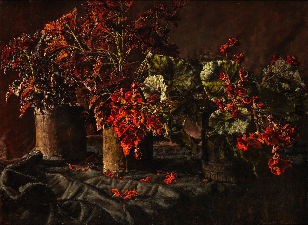 Begonia (öljy kankaalle) tekijältä Kenneth Newton