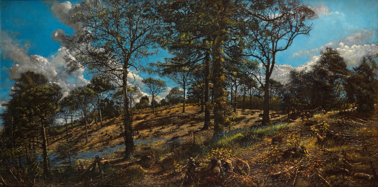 Bigbury Wood (öljy kankaalle) tekijältä Kenneth Newton
