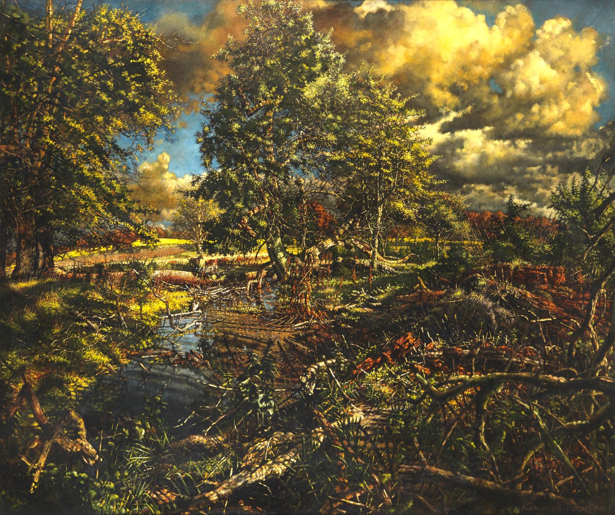 Nailbourne Spring Stream, Bourne Park tekijältä Kenneth Newton