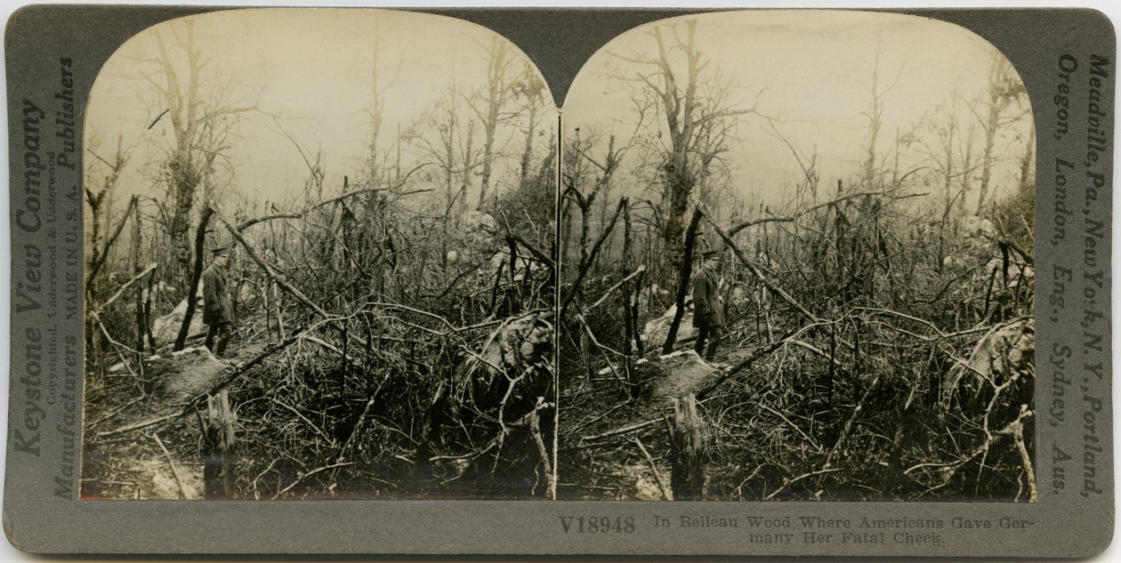 Vaakasuora, seepia -stereokortti, jossa näkyy univormu, joka kävelee tuhoutuneiden puiden peittämän alueen läpi. Keystone Stereograph numero V18948. Otsikko lukee tekijältä Keystone View Company