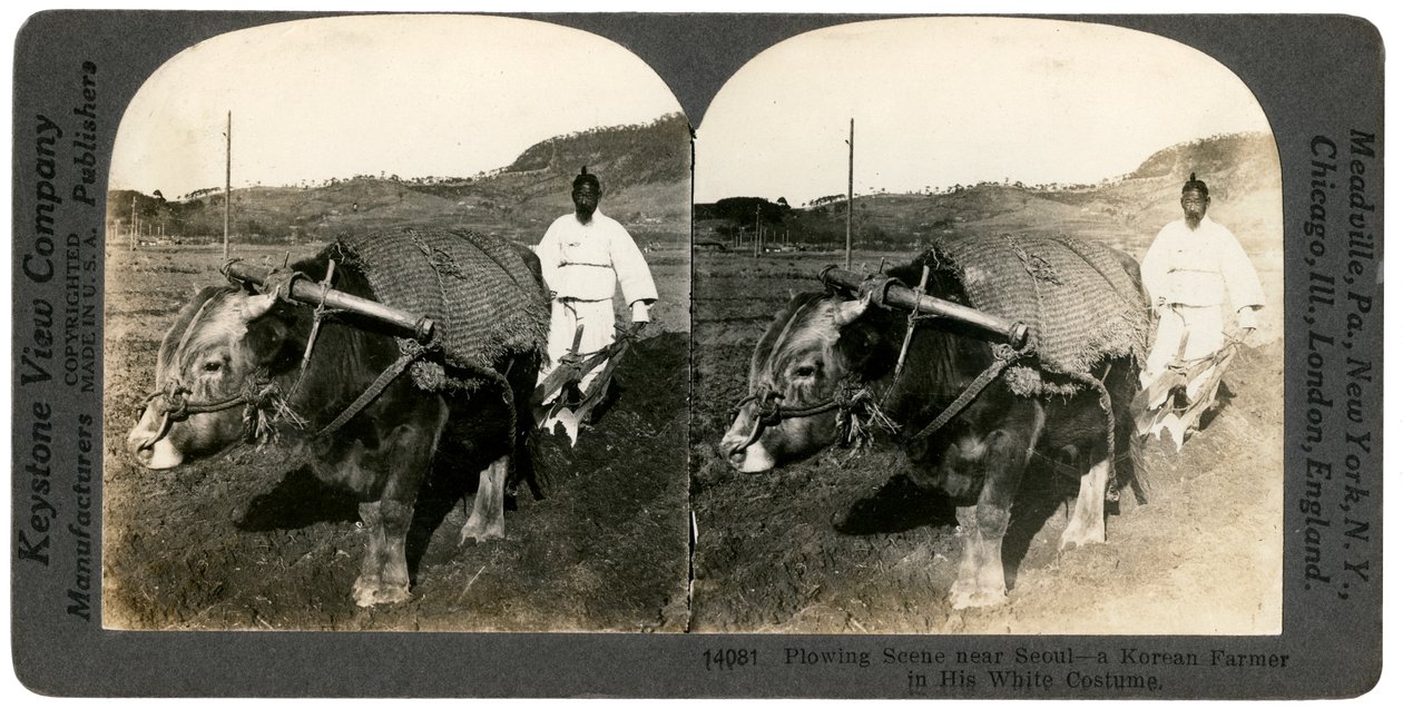 Maanviljelyä lähellä Soulia, Etelä-Korea, 1900-luku. tekijältä Keystone View Company