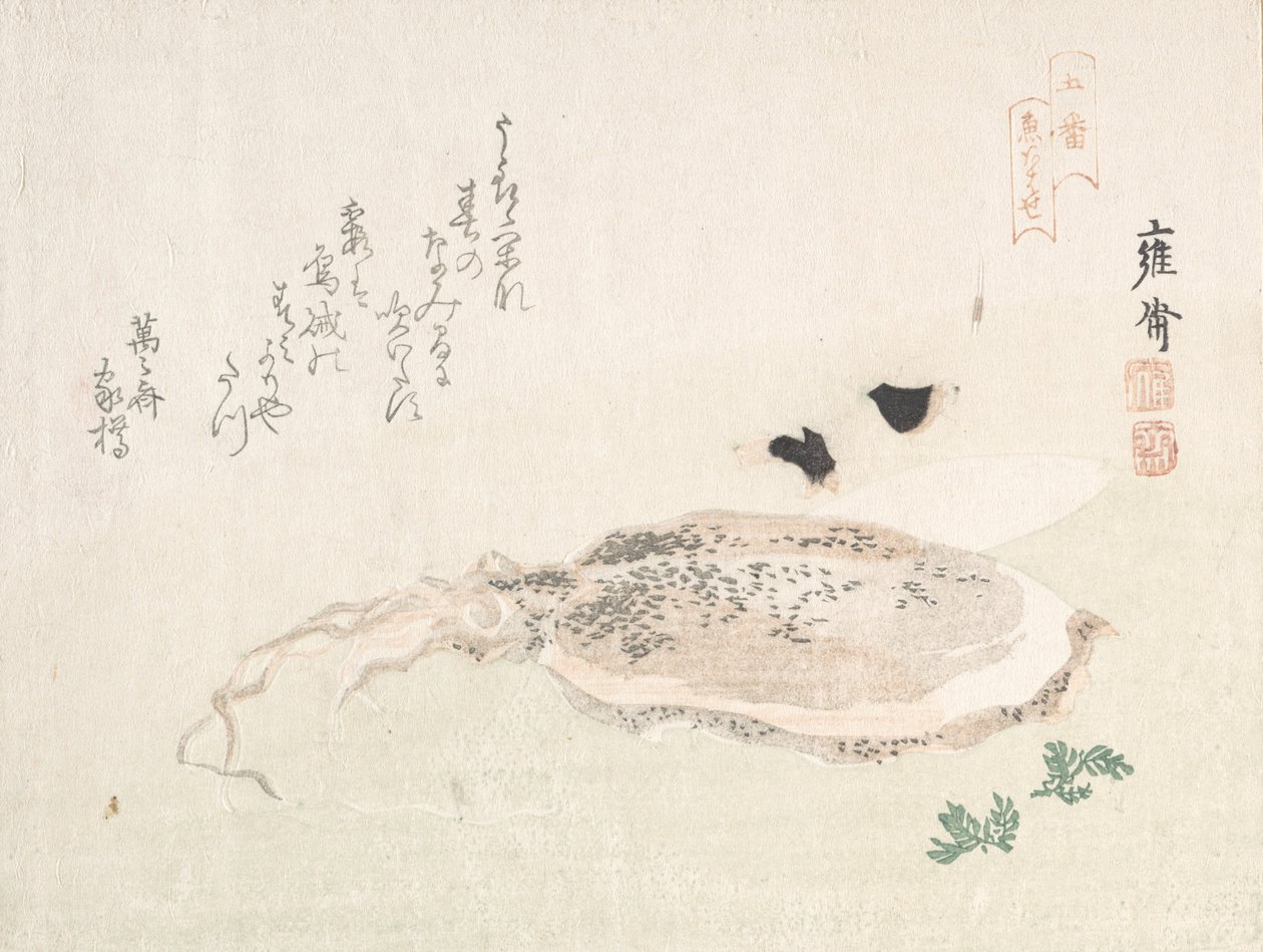 Cuttle Fish, 1800-luvun alku. tekijältä Kikuchi Yosai