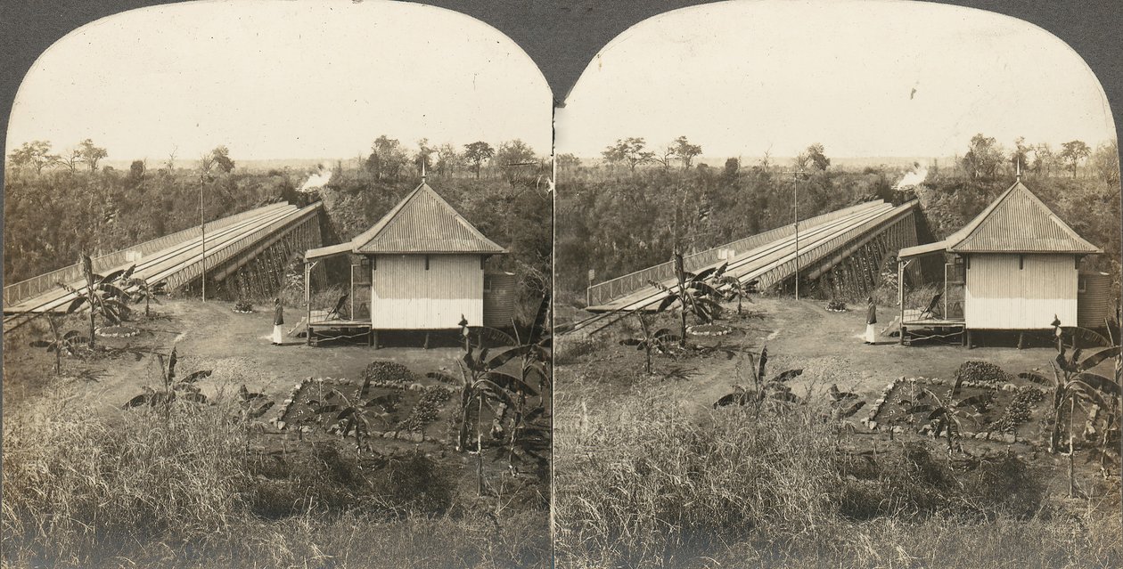 Ryhmä 14 stereografia Afrikasta ja näyttelijöistä, 1850-1910. tekijältä Kilburn Brothers