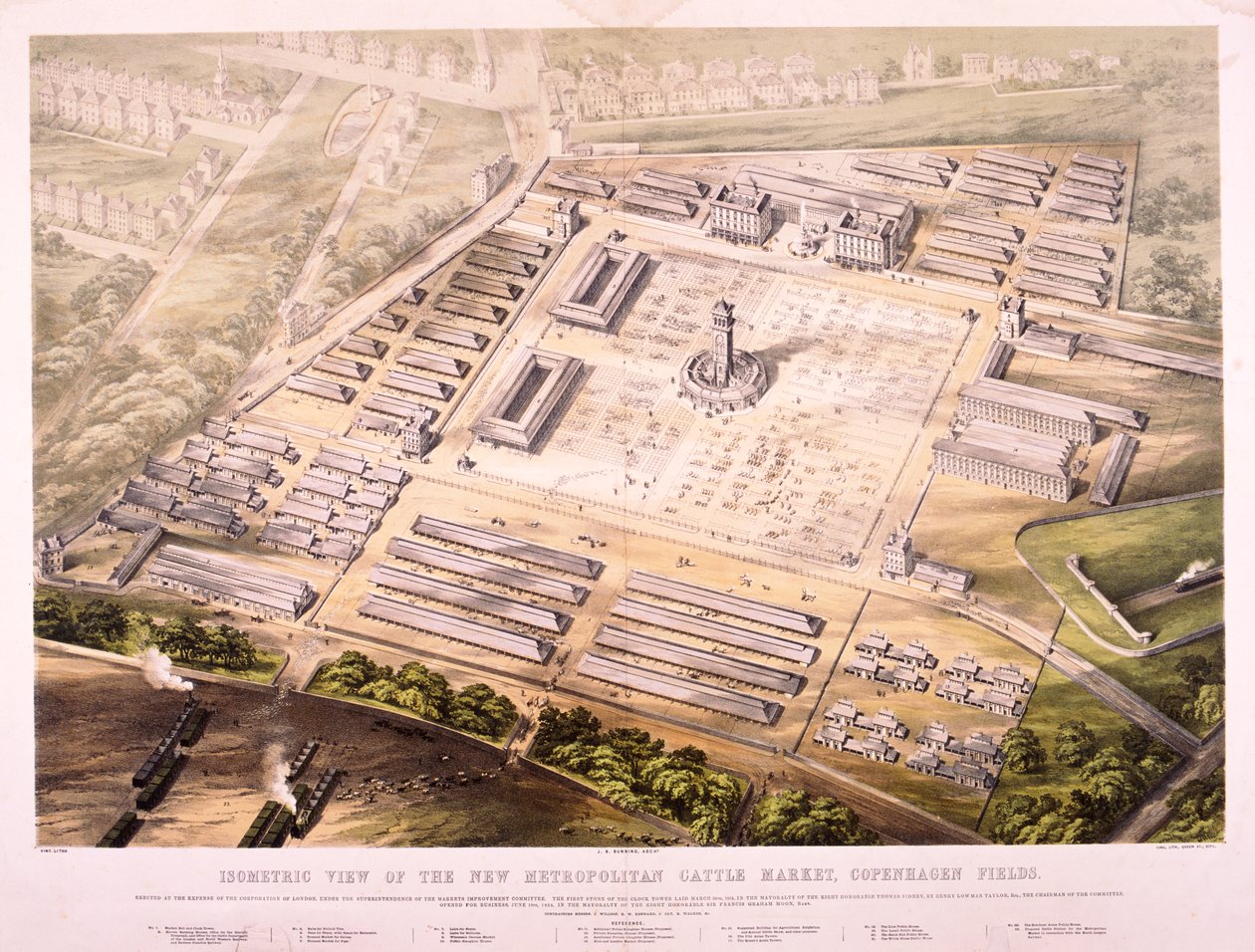 Metropolitan Cattle Market, Lontoo, 1855 tekijältä King