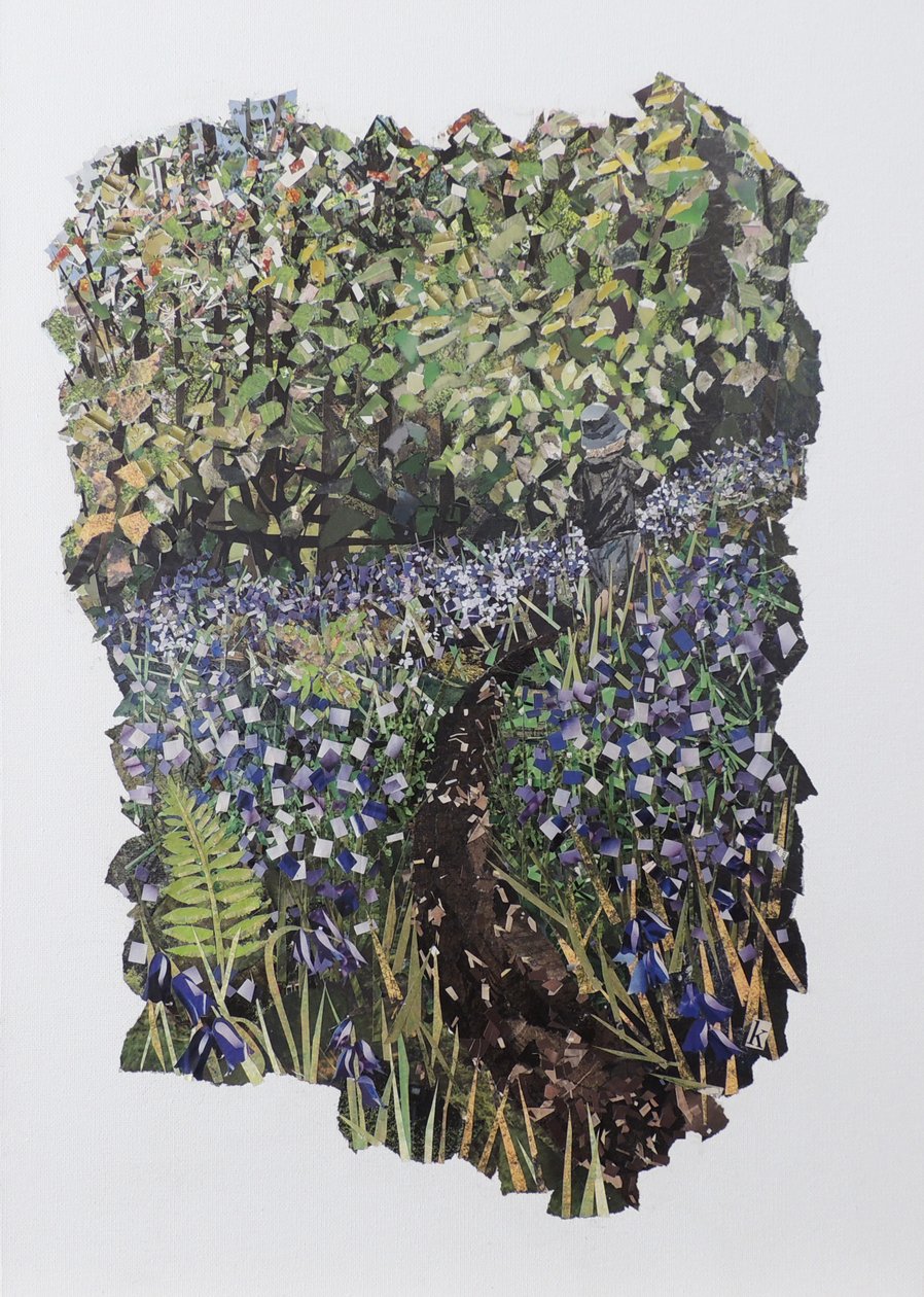 Bluebell Wood tekijältä Kirstie Adamson