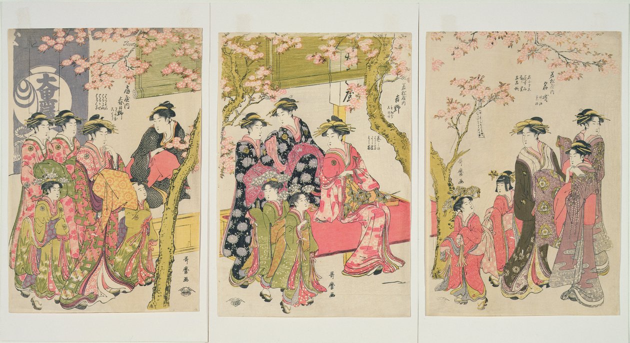 Kurtisaanit kävelemässä kirsikkapuiden alla ennen Daikoa, n. 1789 (oban tate-e -triptyykkipuupainatus, värillinen paperille) (katso lisätietoja numerosta 253486) tekijältä Kitagawa Utamaro
