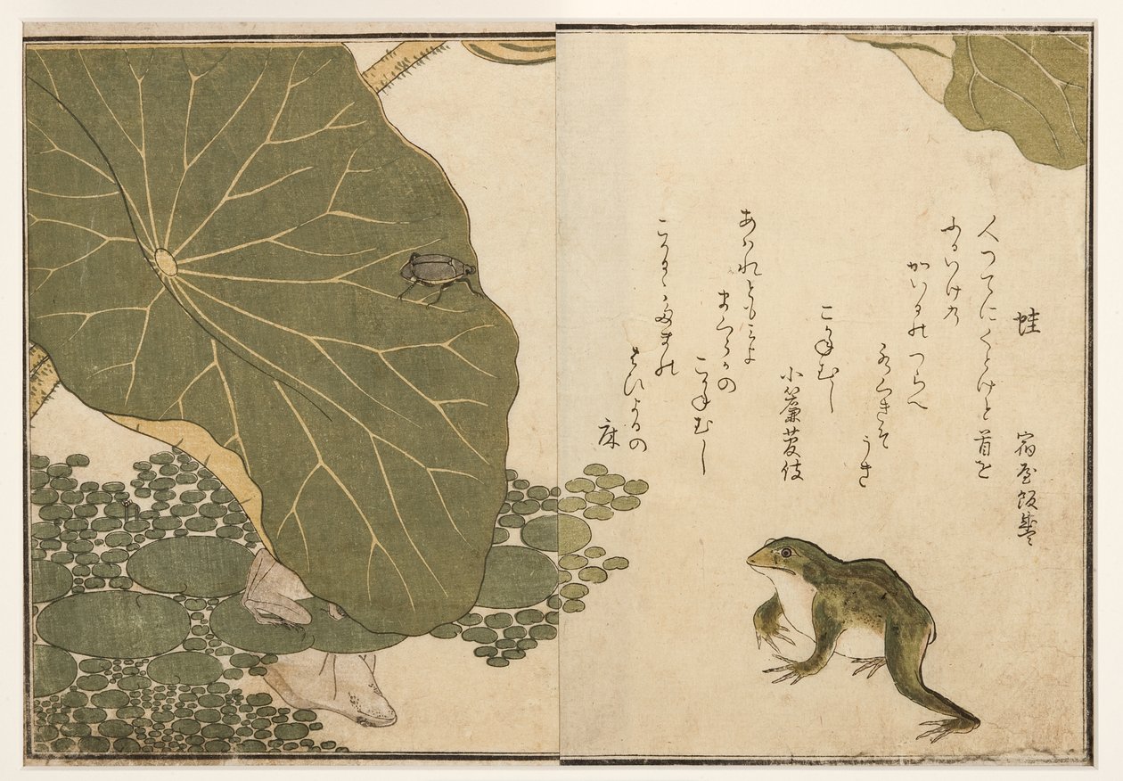 Sammakot ja kultainen hyönteiskuoriainen, 1788 (puupalikka) tekijältä Kitagawa Utamaro