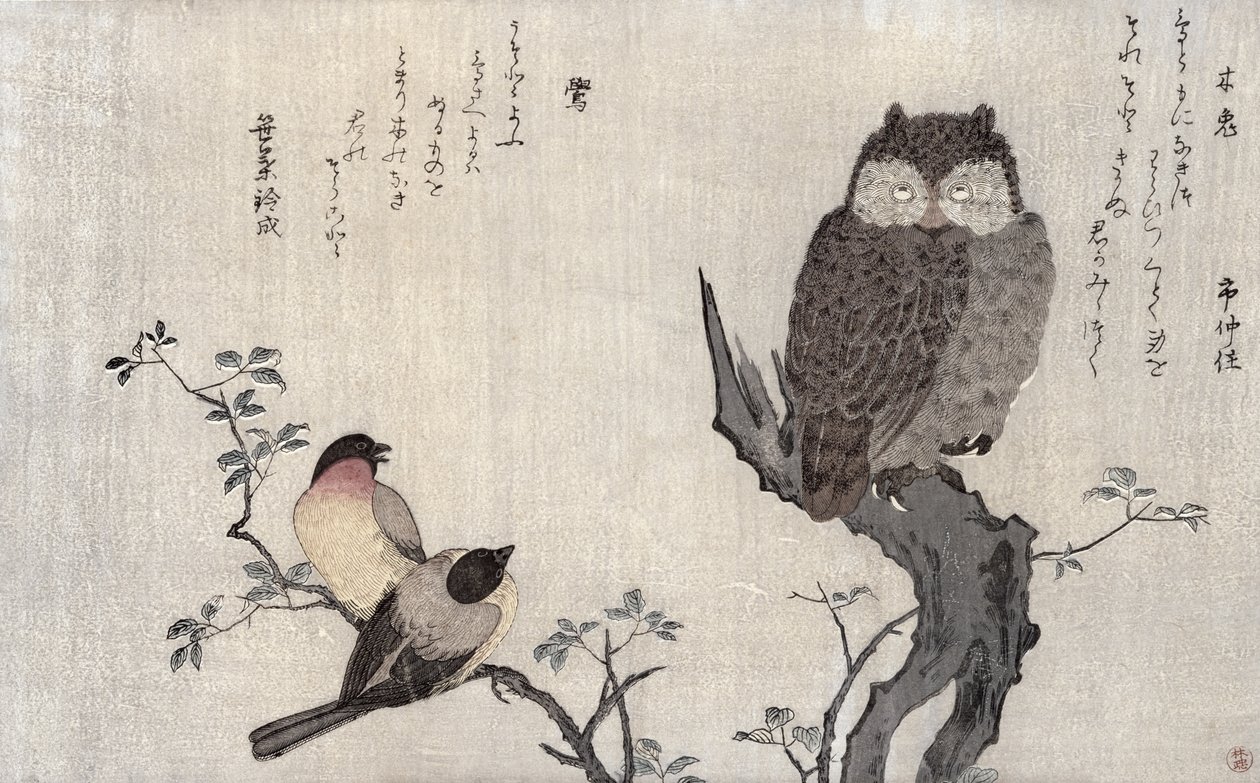 Pöllö ja kaksi itämaisen härkäpeppua, albumista "Linnut verrattuna huumorilauluihin, 100 ja 1000 linnun runokilpailu", 1791 (värillinen puupainatus) tekijältä Kitagawa Utamaro