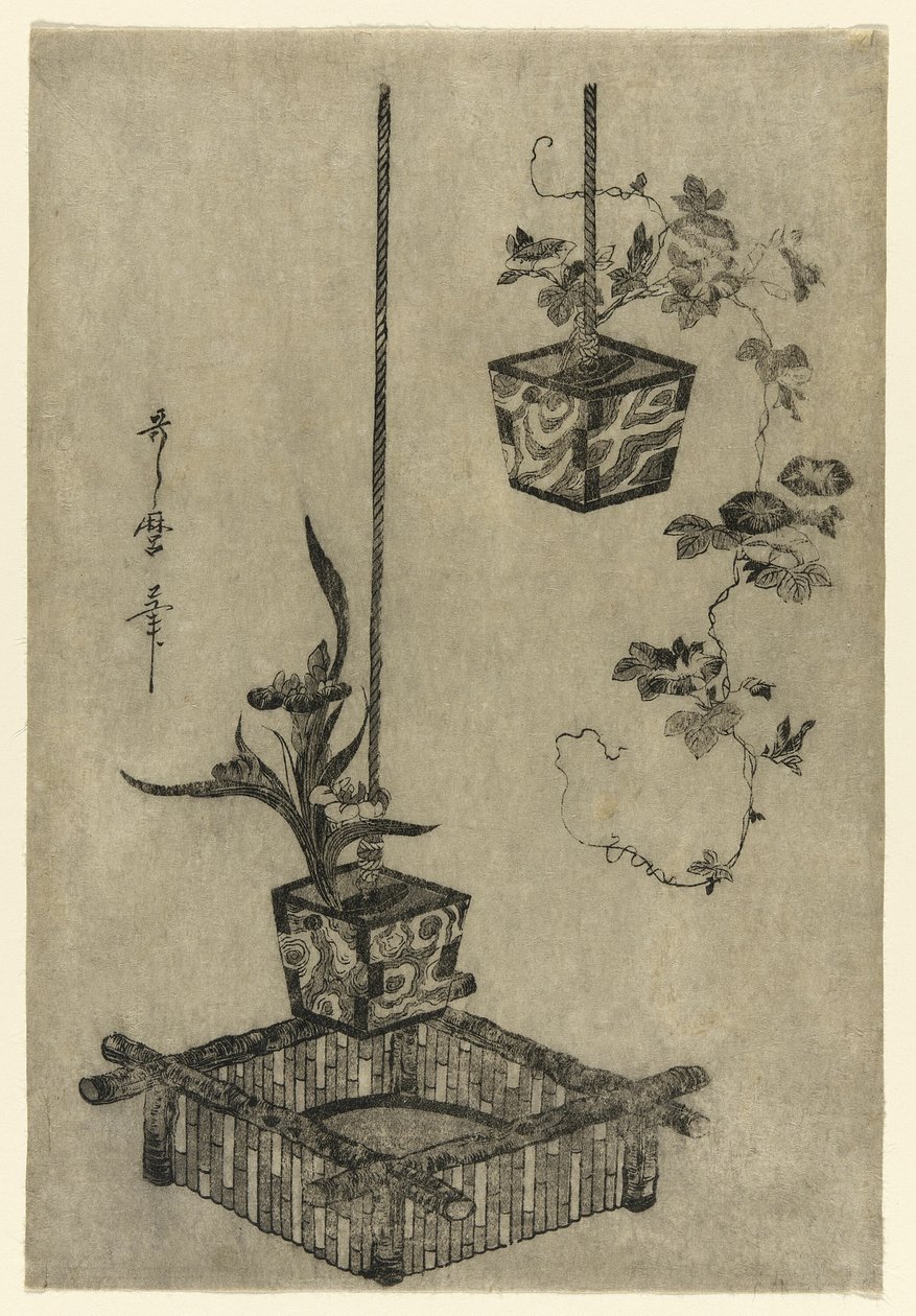 Irises- ja Morning Glories -järjestelyt tekijältä Kitagawa Utamaro