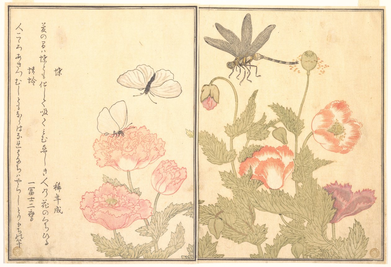 Perhonen (Chō); sudenkorento (Kagerō tai Tonbo), Kuvakirjasta ryömivistä olennoista (Ehon mushi erami) tekijältä Kitagawa Utamaro