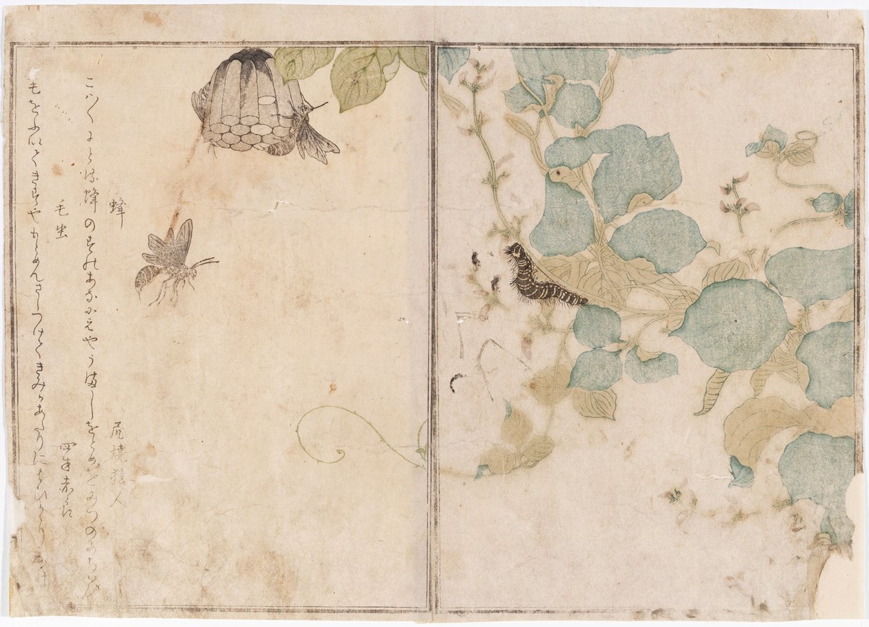 Toukat ja mehiläiset tekijältä Kitagawa Utamaro