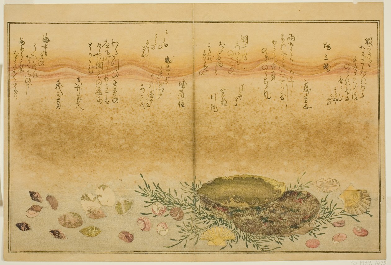 Chidori - ulkona, kipu - ulkona, abalone, liiku - ulkona, simpukat - ulkopuolella, on idea Allahille, latte-suojuslehdistä tekijältä Kitagawa Utamaro