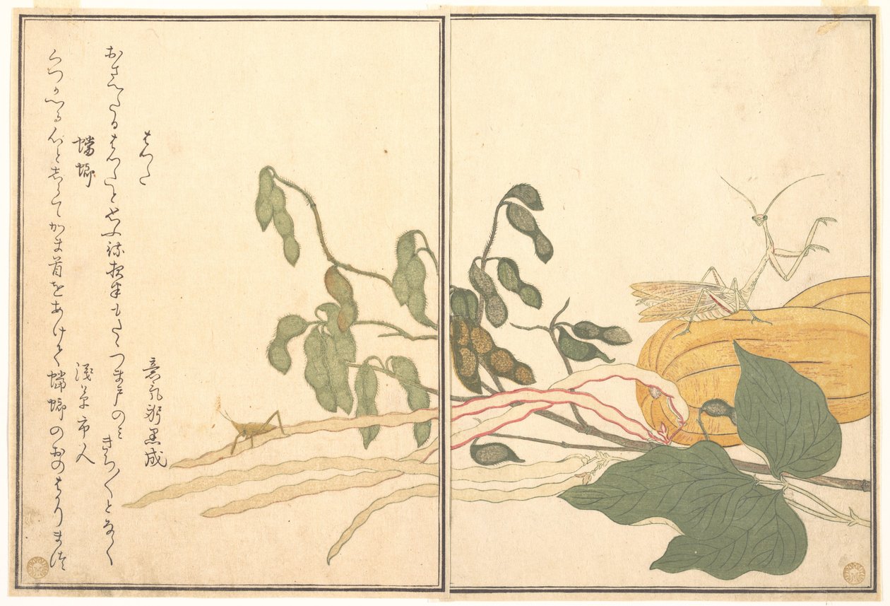 Kartionpäinen heinäsirkka tai heinäsirkka (batta); rukoilijasirkka (Tōrō tai Kamakiri), teoksesta ”Ryömivien olentojen kuvakirja” (Ehon mushi erami) tekijältä Kitagawa Utamaro