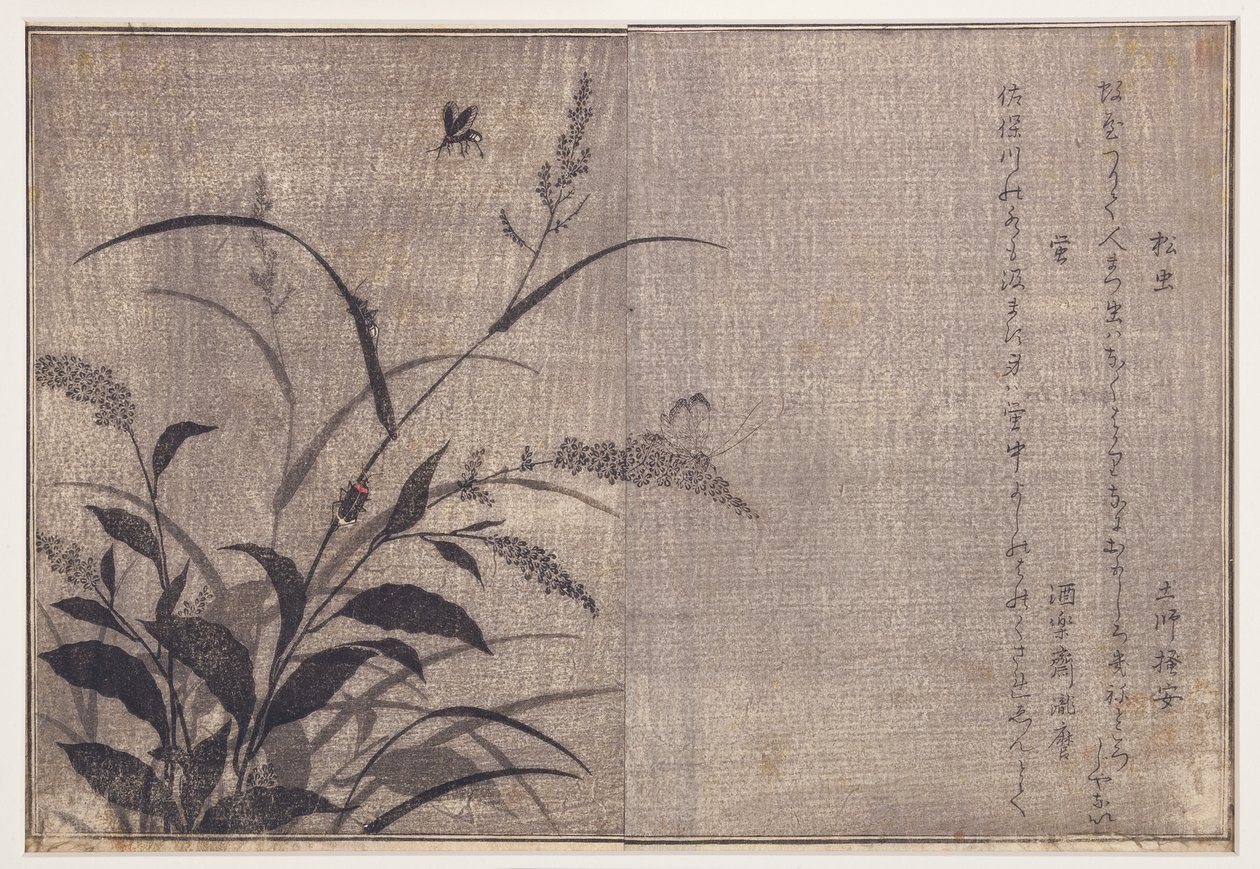 Kriketti ja tulikärpäset, 1788 (puupalikka) tekijältä Kitagawa Utamaro