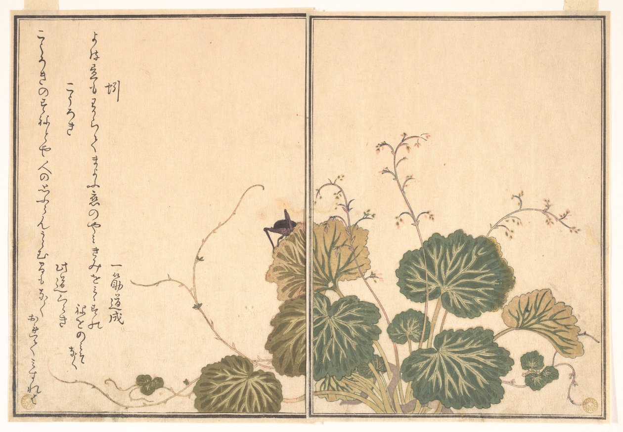 Kastemato (Mimizu); sirkka (Kōrogi), Ryömivien olentojen kuvakirjasta (Ehon mushi erami) tekijältä Kitagawa Utamaro