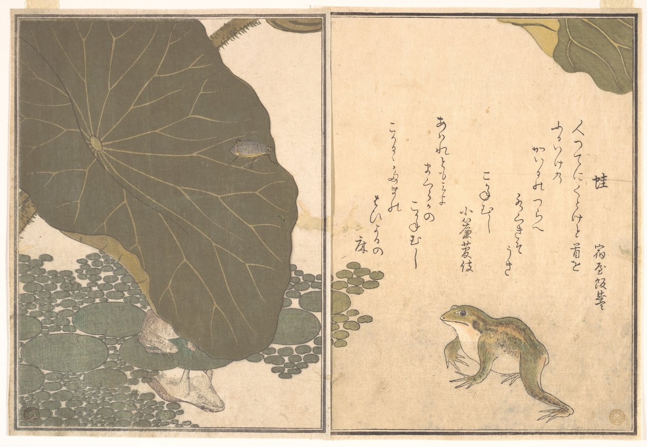 Sammakko (Kaeru); kultakuoriainen (Kogane mushi), Ryömivien olentojen kuvakirjasta (Ehon mushi erami) tekijältä Kitagawa Utamaro