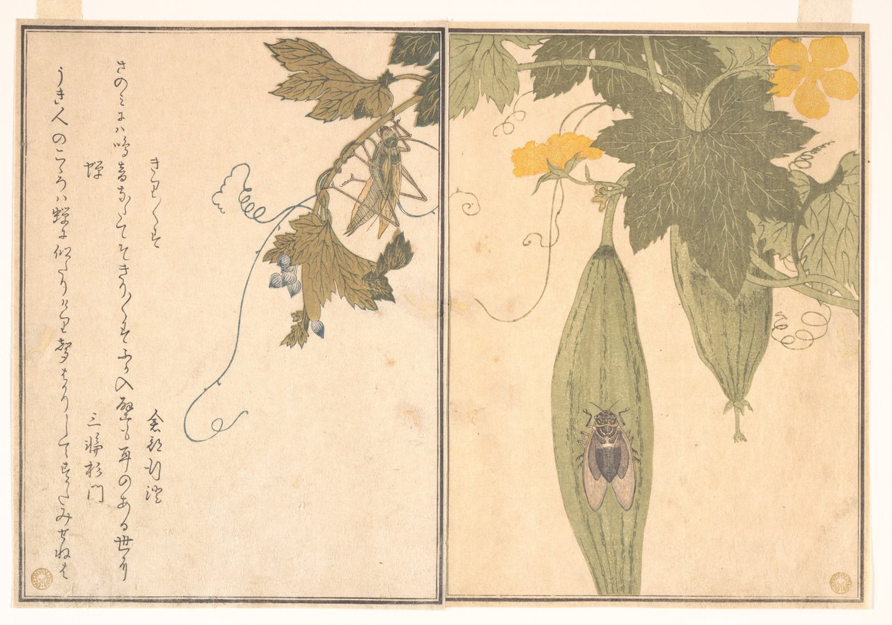 Heinäsirkka (Kirigirisu); kaskas (Semi), teoksesta Kuvakirja ryömivistä olennoista (Ehon mushi erami) tekijältä Kitagawa Utamaro