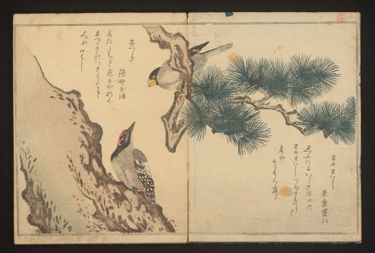 Tikka ja tikka tekijältä Kitagawa Utamaro