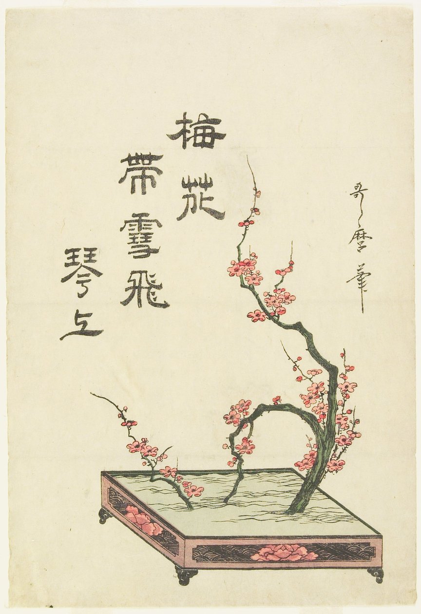 Luumupuun oksasta tehty ikebana-asetelma tekijältä Kitagawa Utamaro