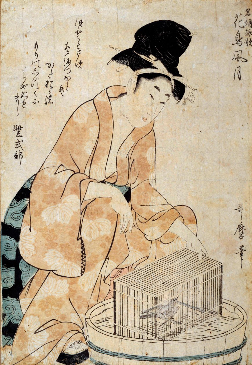 Japanilainen taide: nainen istuu lintuhäkin edessä. Piirustus Outamaro (Utamaro) Kitagawa (1753-1806) 1700-luvun Rennes, Musee des Beaux Arts tekijältä Kitagawa Utamaro