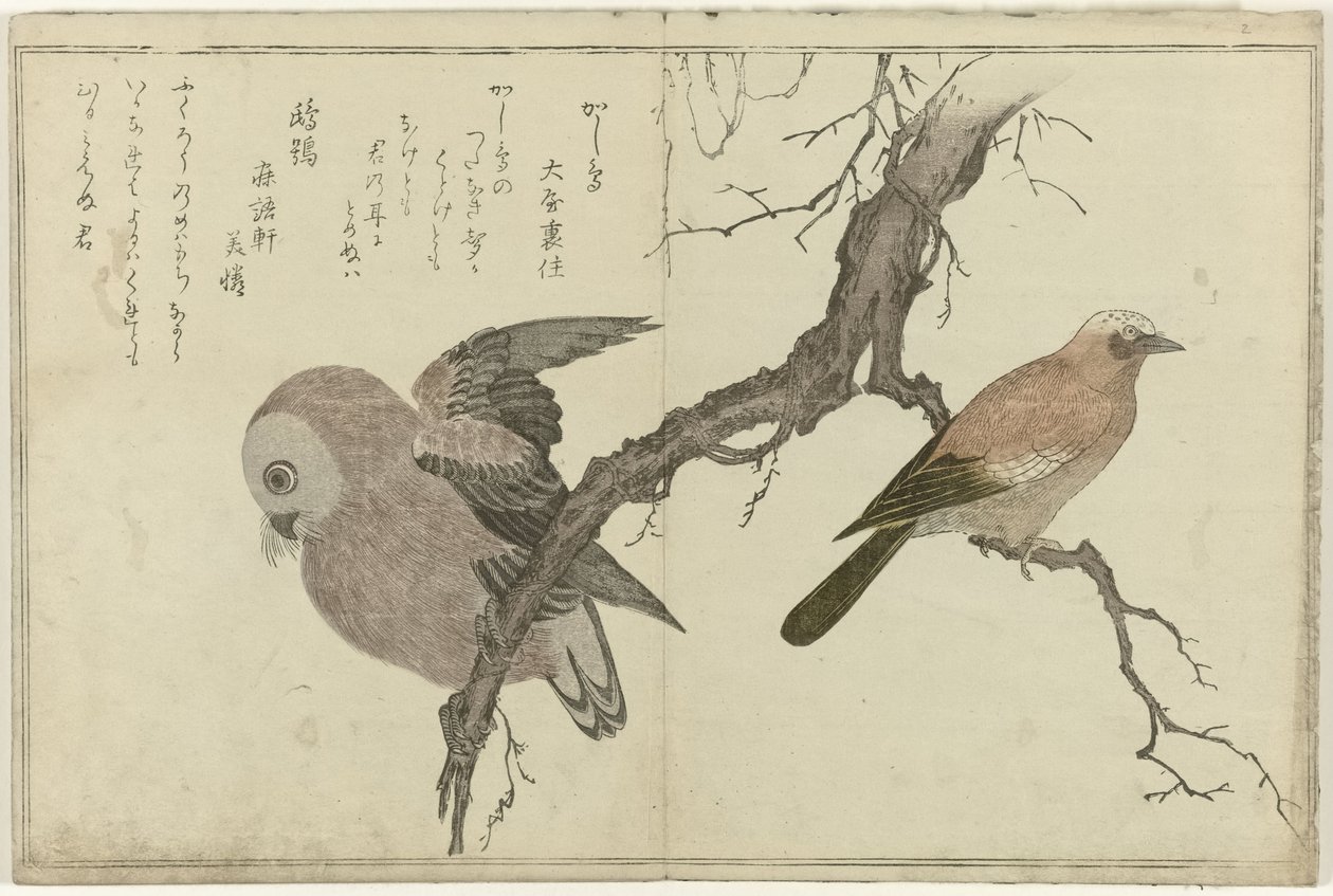 Jay ja pöllö tekijältä Kitagawa Utamaro