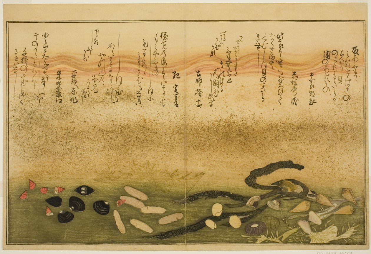 Minashi ulkona, suola ulkona, muotti ulkona, miso ulkona, jimmy ulkona, idea d chigusa ulkona, vuoroveden tee st latte suojuslehdistä)" tekijältä Kitagawa Utamaro