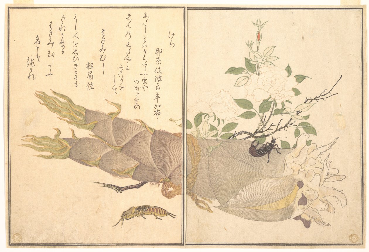Moolikriketti (Kera); korvakärpänen (Hasami-mushi), teoksesta ”Ryömivien olentojen kuvakirja” (Ehon mushi erami) tekijältä Kitagawa Utamaro
