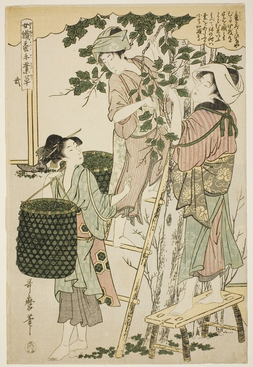 Nro 2 (ni), sarjasta "Naiset, jotka harjoittavat maataloutta (Joshoku kaiko tewaza-gusa)" tekijältä Kitagawa Utamaro