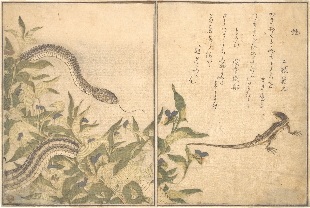 Rottakäärme (Hebi); lisko tai skinkki (Tokage), Kuvakirjasta ryömivistä olennoista (Ehon mushi erami) tekijältä Kitagawa Utamaro