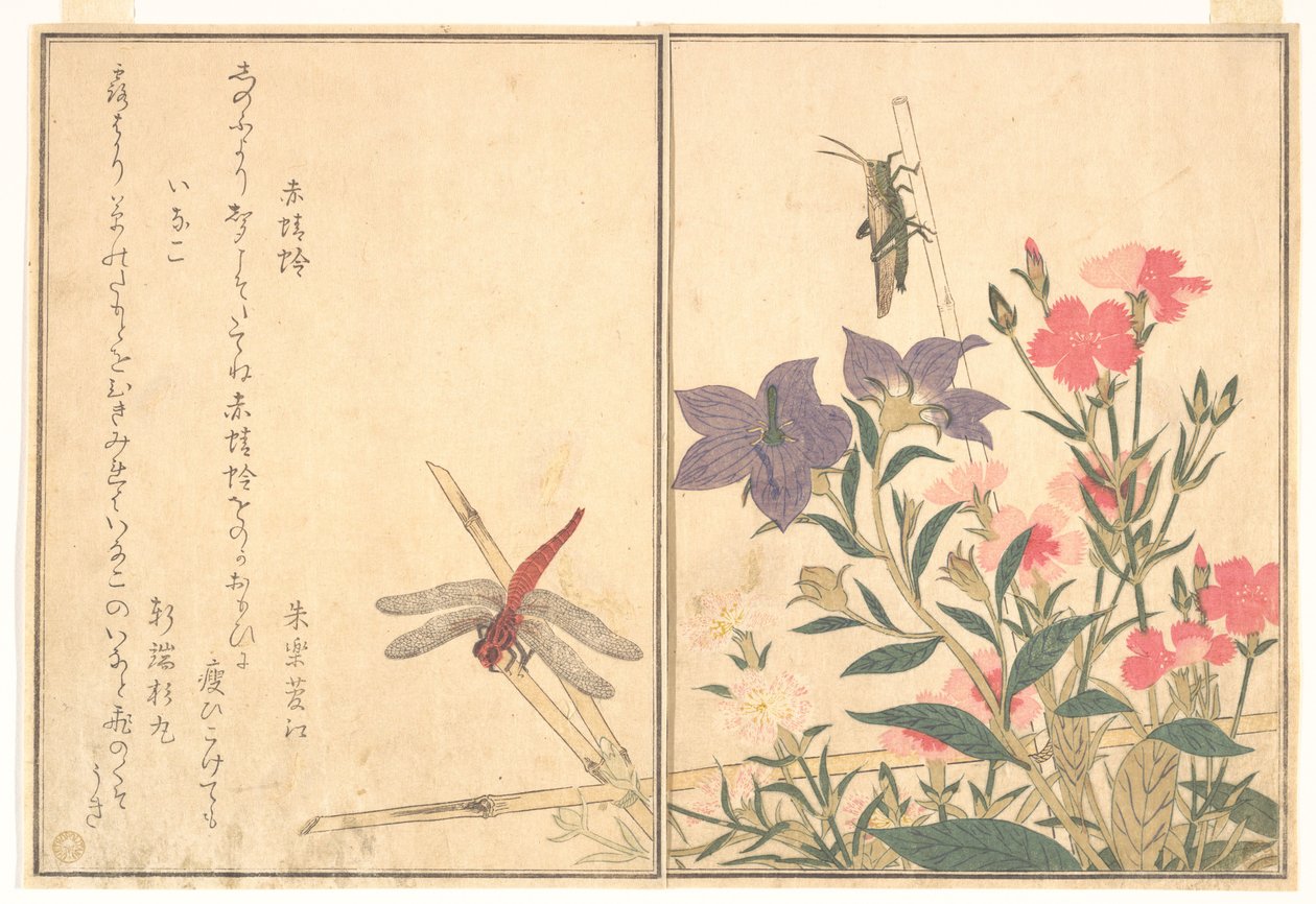 Punainen sudenkorento (Akatonbo); Heinäsirkka (Inago), teoksesta ”Ryömivien olentojen kuvakirja” (Ehon mushi erami) tekijältä Kitagawa Utamaro
