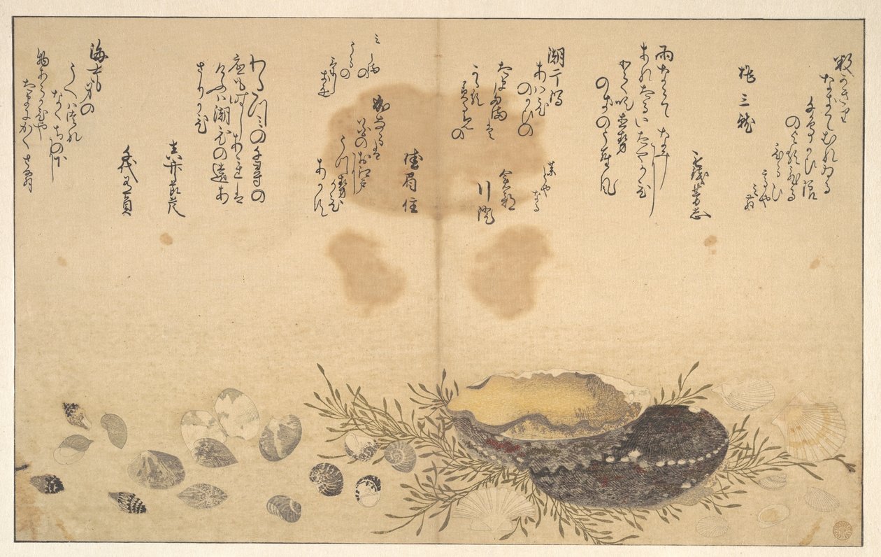 Simpukankuoria veden alla tekijältä Kitagawa Utamaro